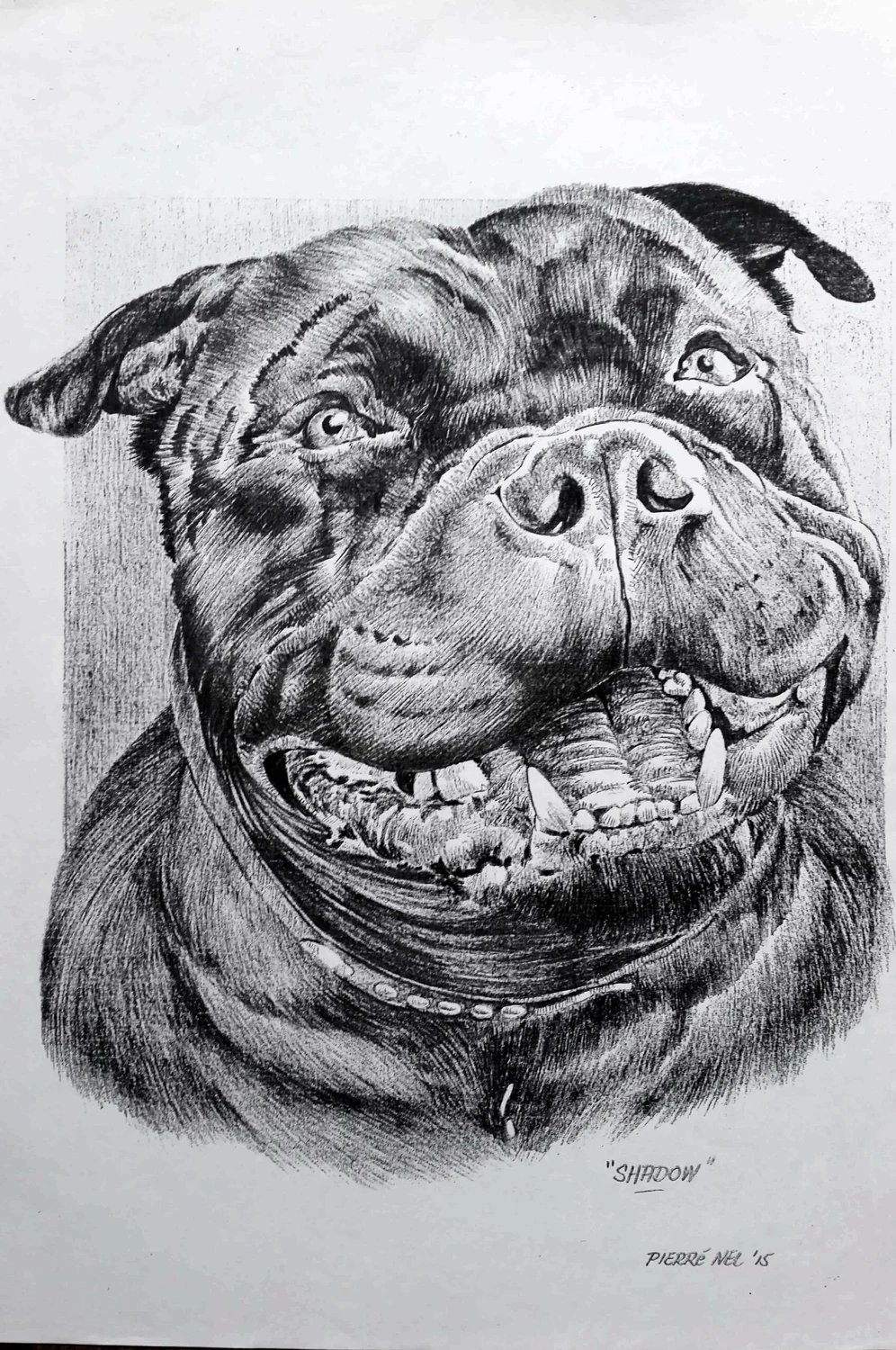 A face full of character — original artwork by Pierre Nel