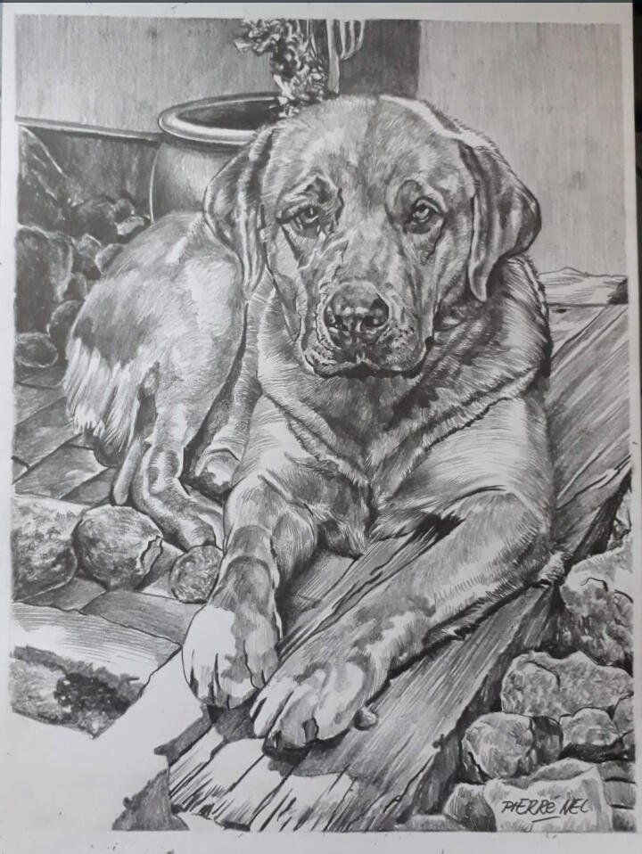 A beloved dog for Nadia by Pierre Nel
