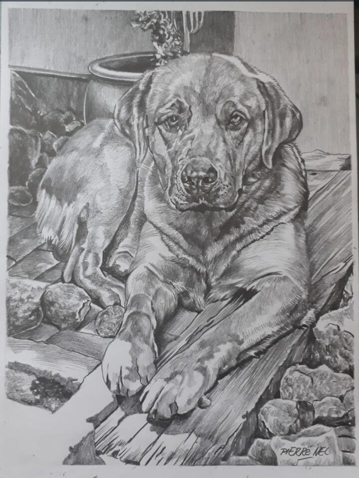 Animal portrait for Nadia by Pierre Nel