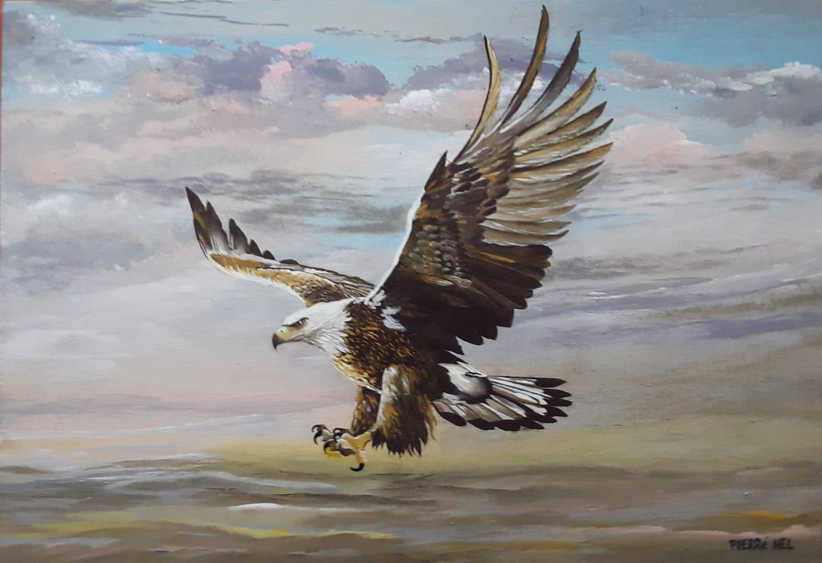 Eagle in flight by Pierre Nel