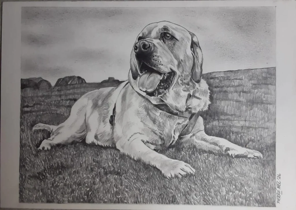 A favourite companion — original artwork by Pierre Nel