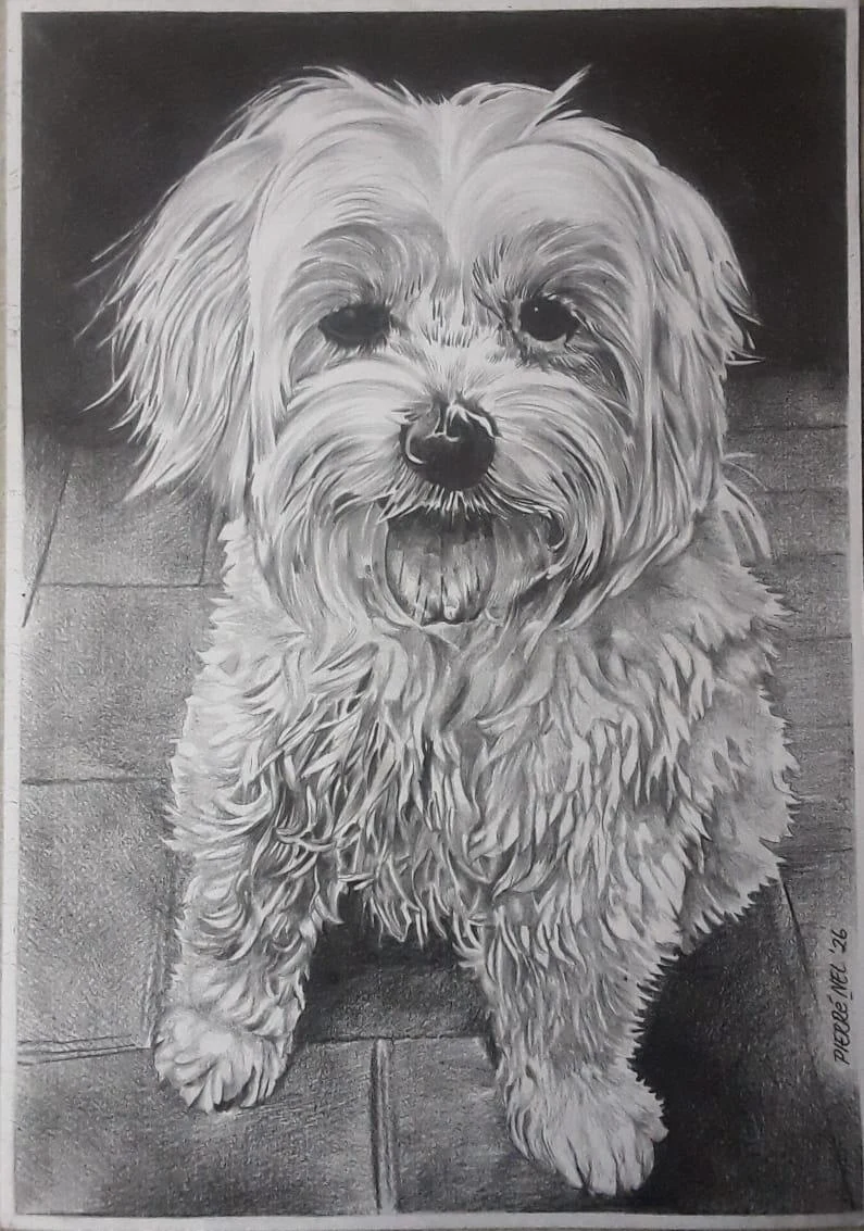 Sugar, a commissioned pencil portrait